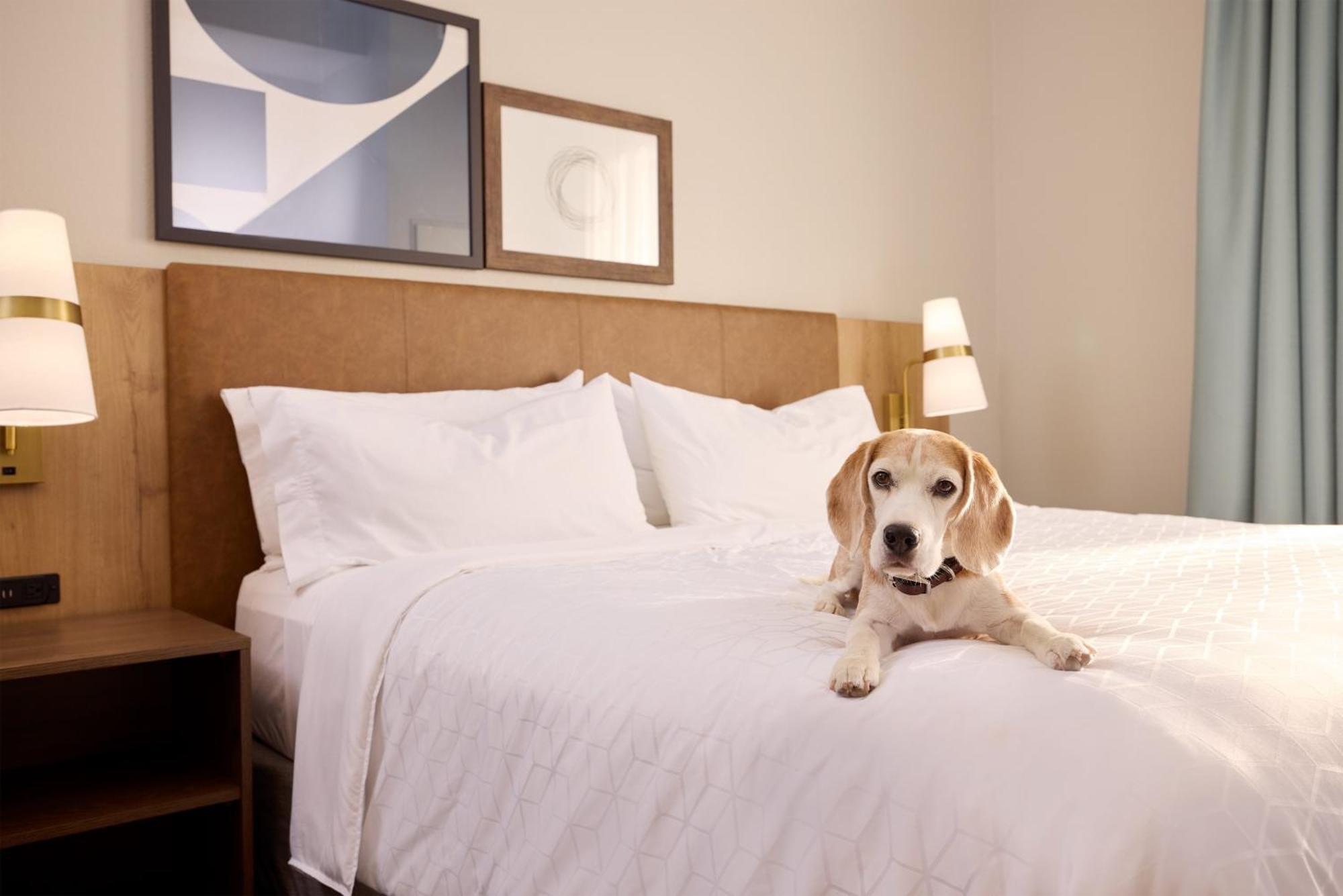 Staybridge Airport By Ihg Hotel